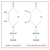 Estresse Oxidativo